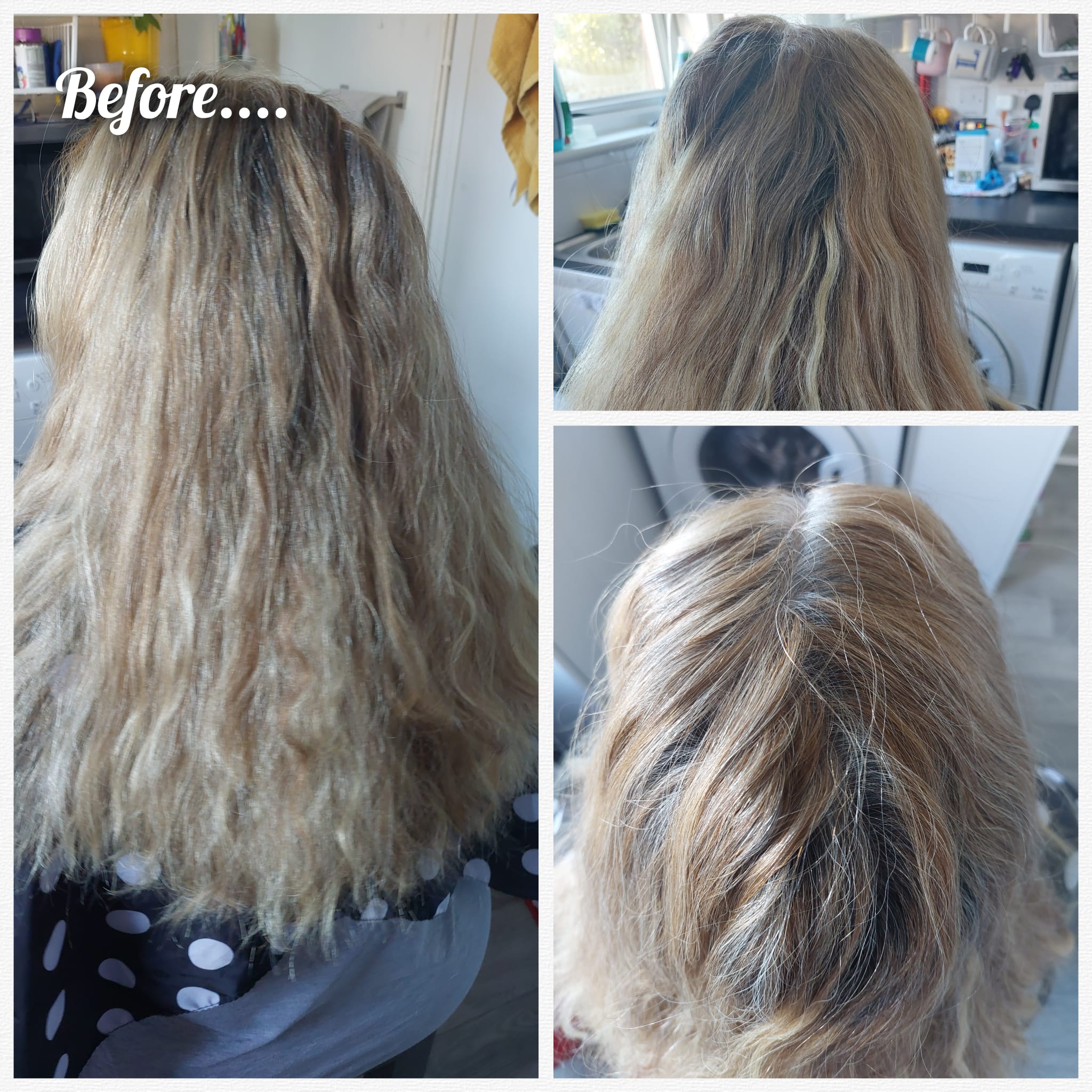 Before and After Transformation